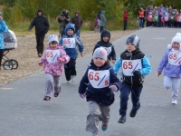 Кросс - нации 2014